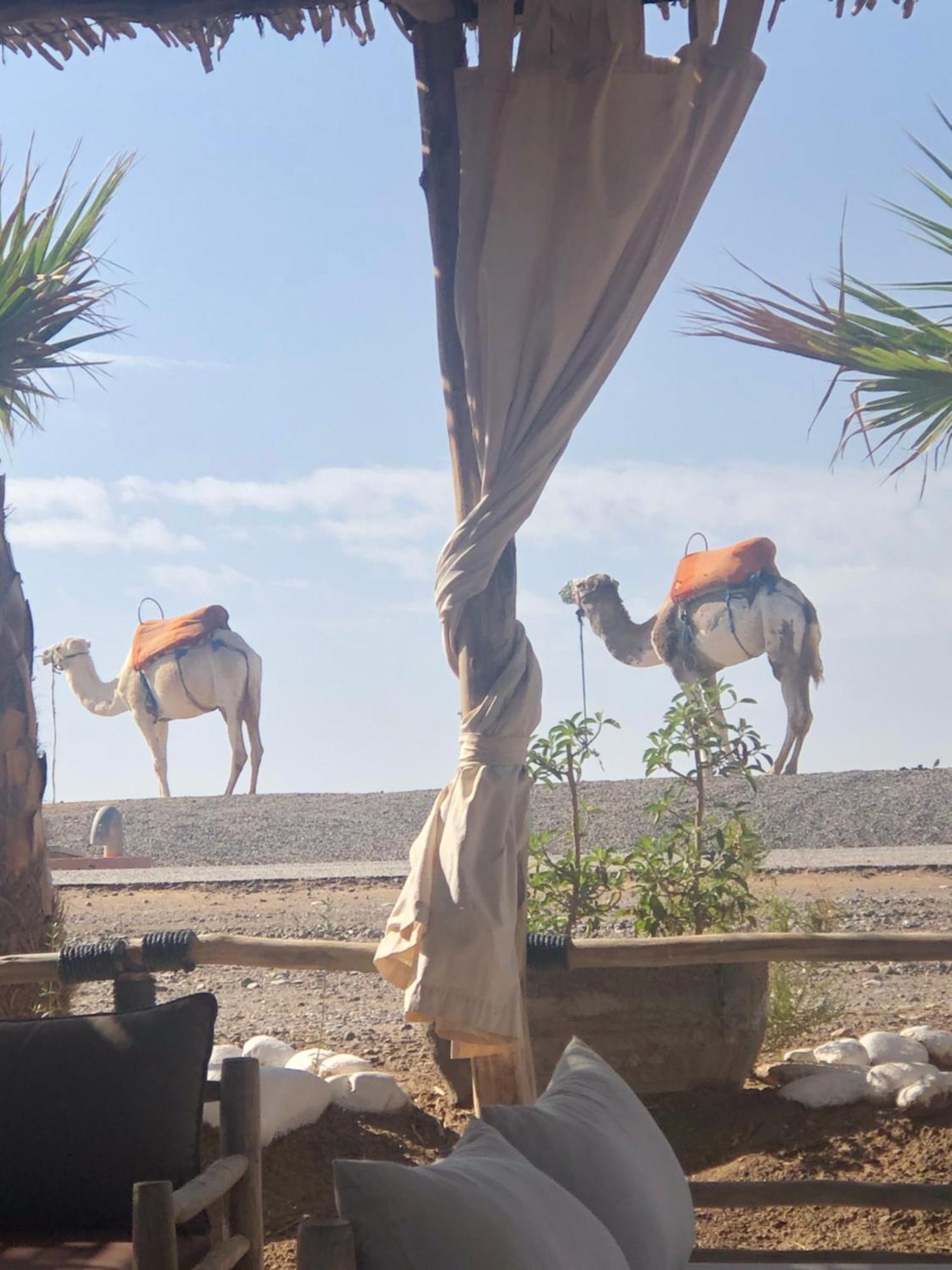 Riad Abbassia Marrakech Premiere Marakeş Dış mekan fotoğraf