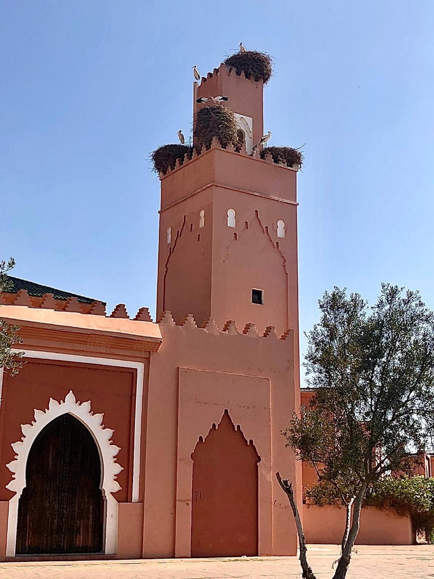 Riad Abbassia Marrakech Premiere Marakeş Dış mekan fotoğraf