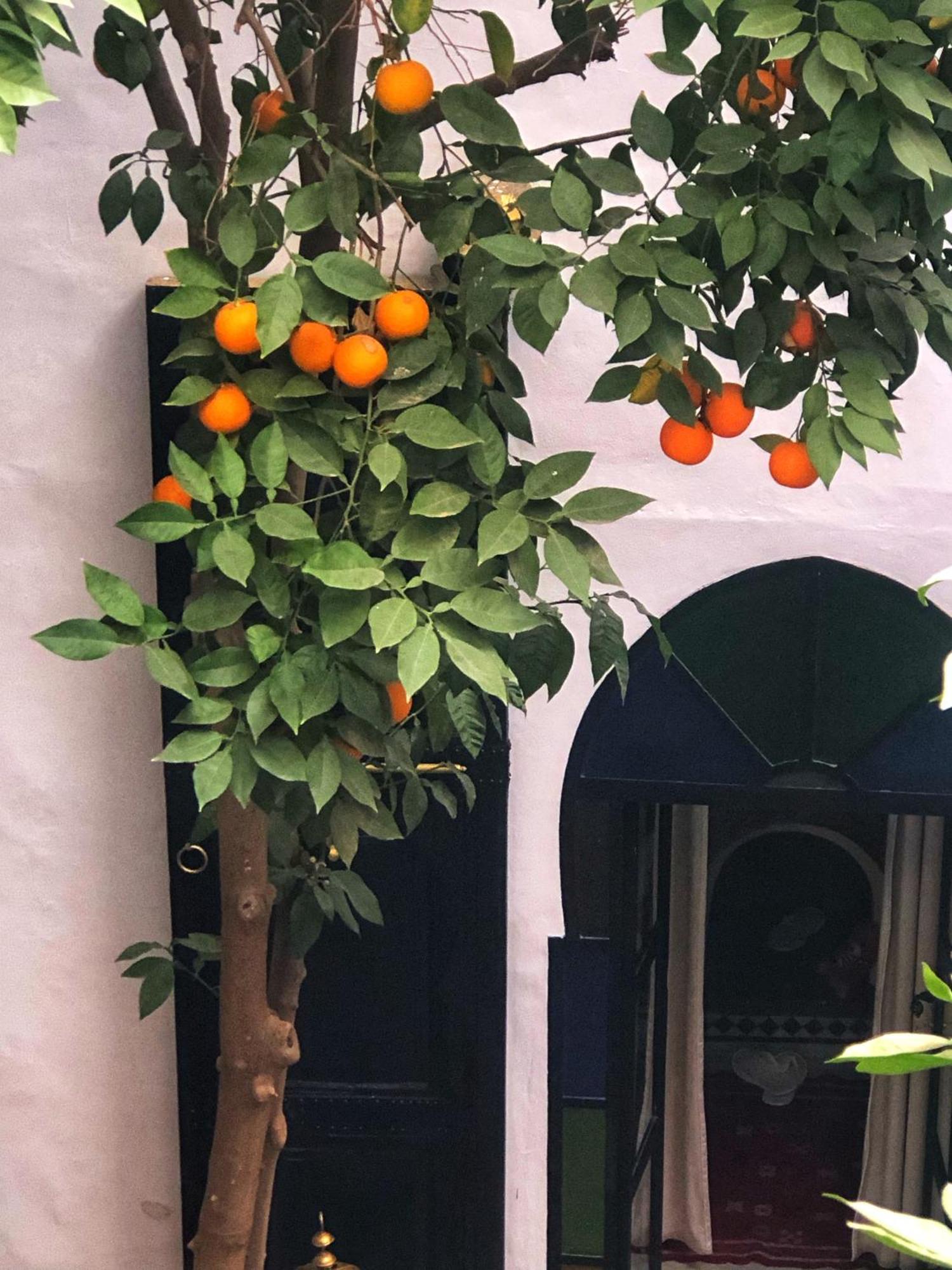 Riad Abbassia Marrakech Premiere Marakeş Dış mekan fotoğraf