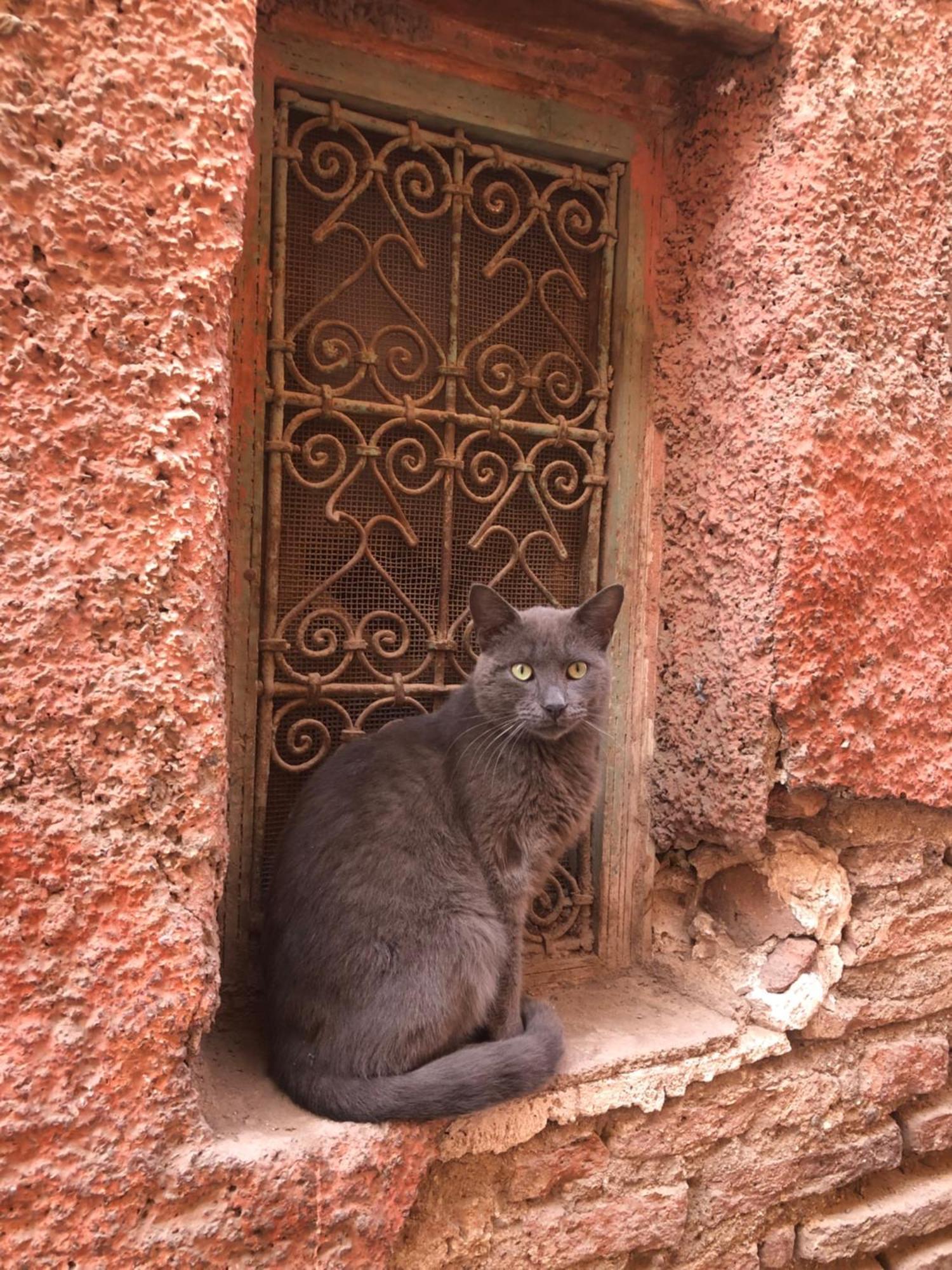 Riad Abbassia Marrakech Premiere Marakeş Dış mekan fotoğraf